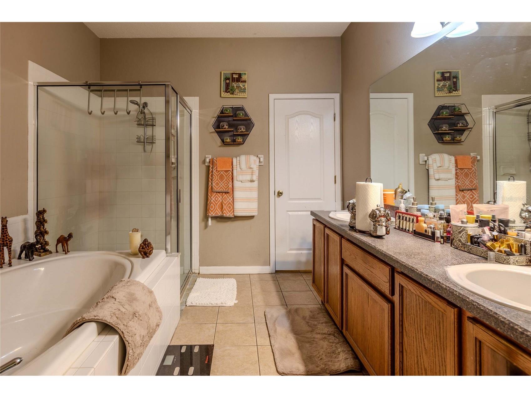 6803 Guilford Crest Drive Apollo Beach FL 33572 TB8479271 image16
