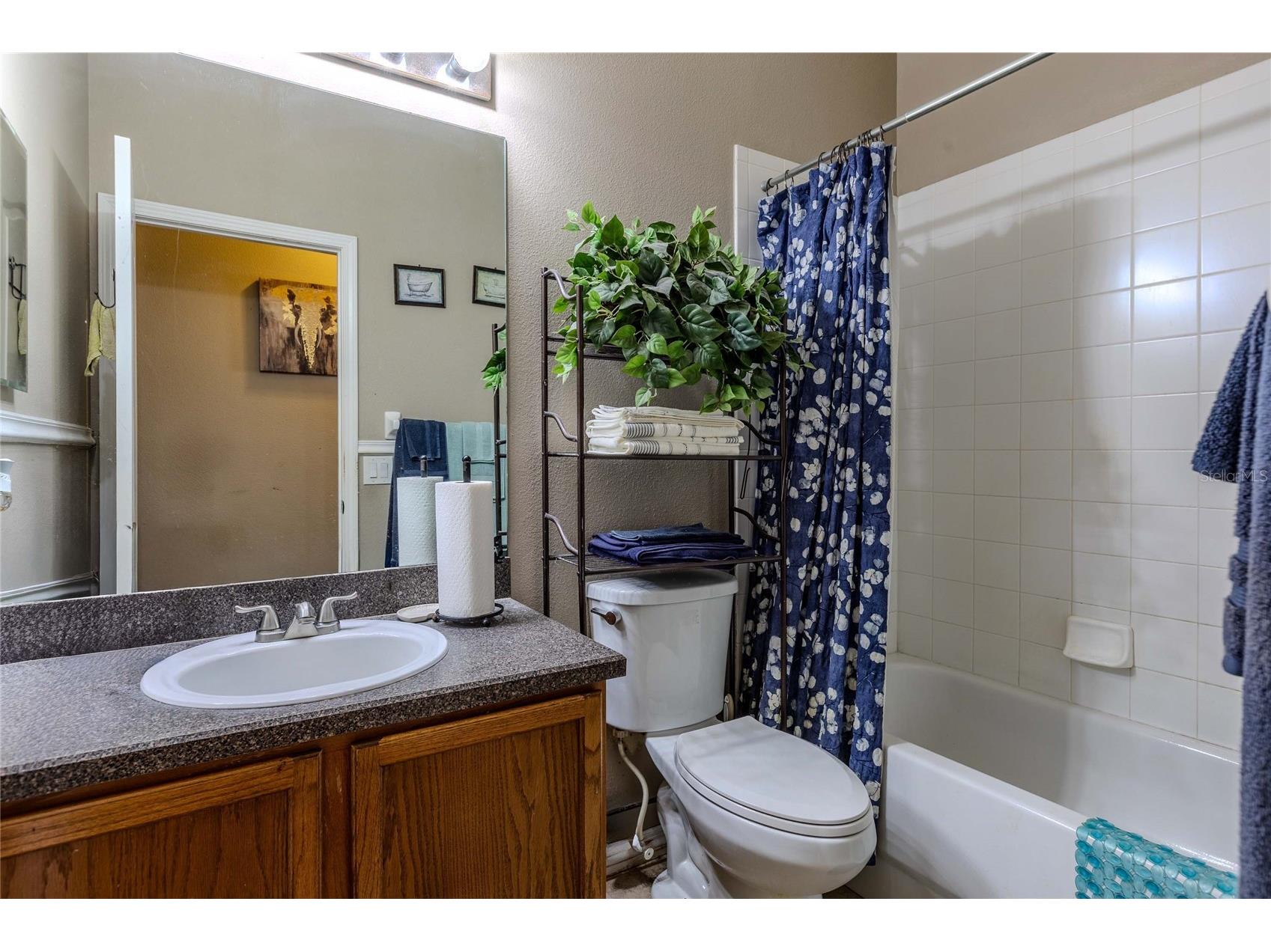 6803 Guilford Crest Drive Apollo Beach FL 33572 TB8479271 image20