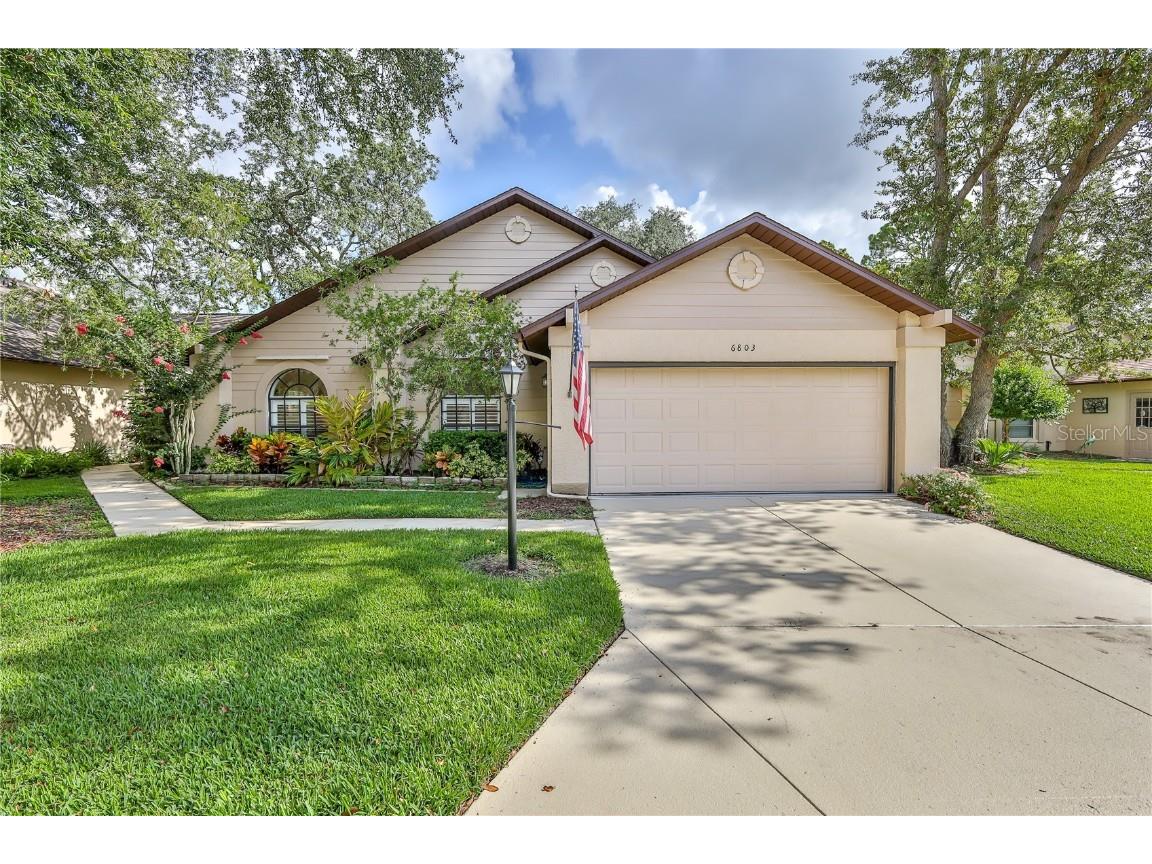 6803 Plumleaf Court Spring Hill FL 34606 W7866295 image1