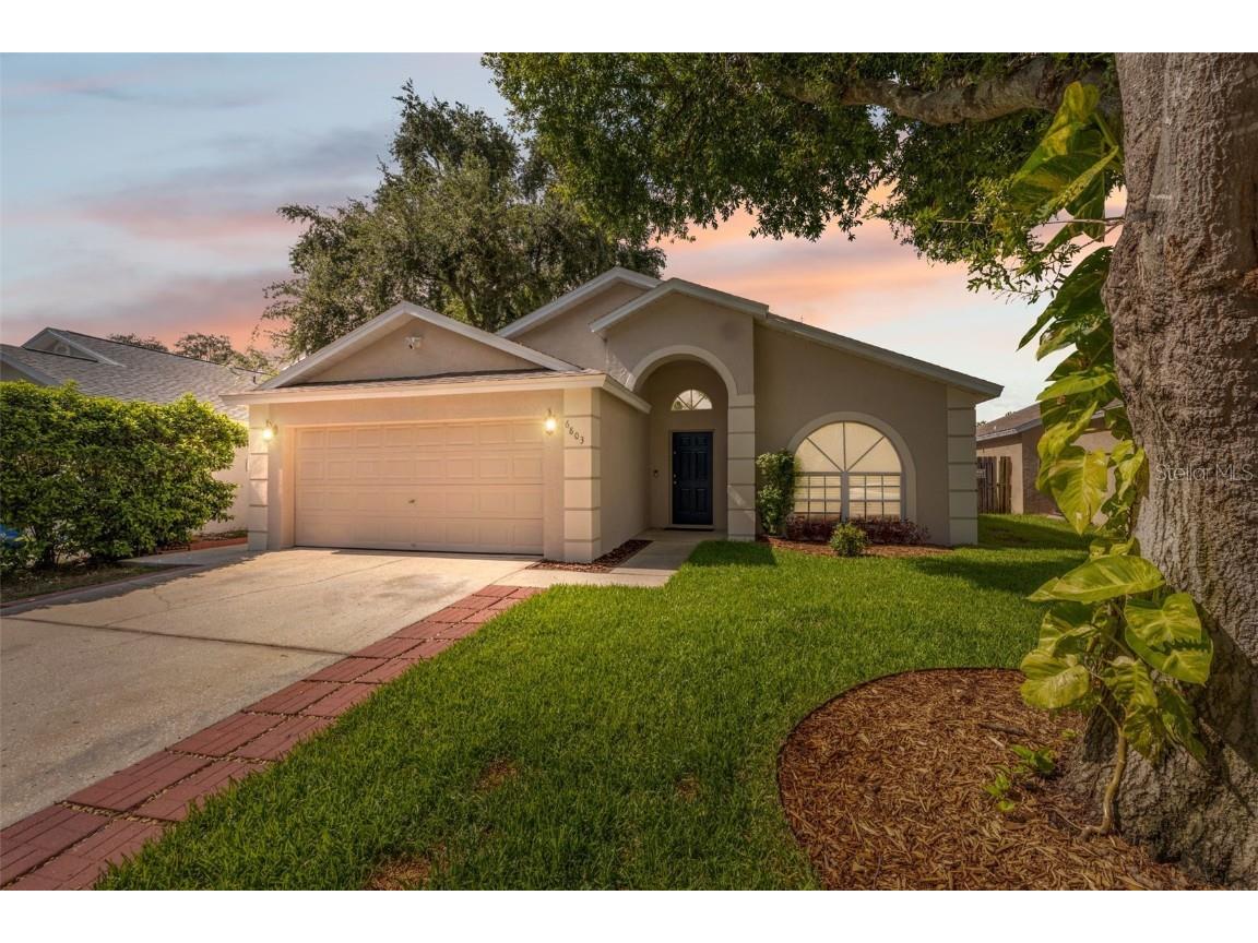 6803 Silver Branch Court Tampa FL 33625 W7866900 image1