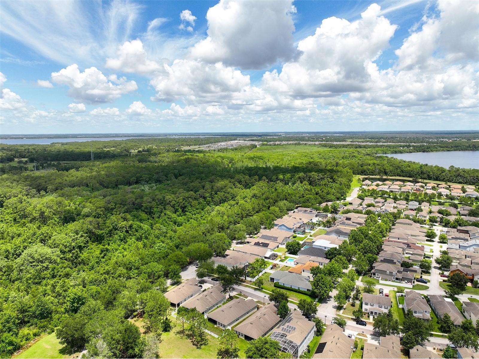 6804 Goldflower Ave Saint Cloud FL 34773 S5149819 image41