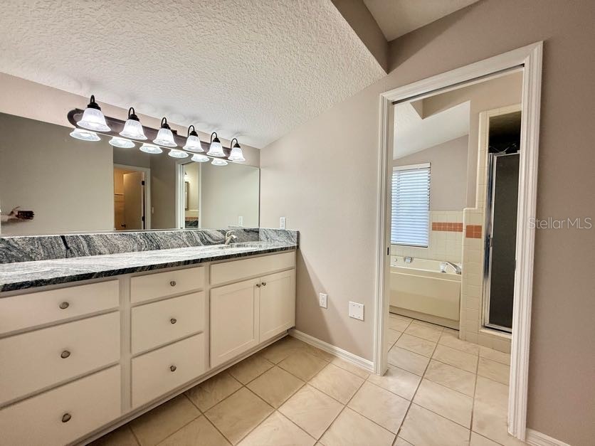 6804 Lake View Drive Yalaha FL 34797 O6403319 image19