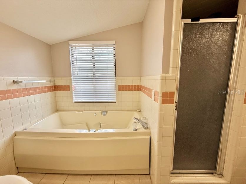 6804 Lake View Drive Yalaha FL 34797 O6403319 image21