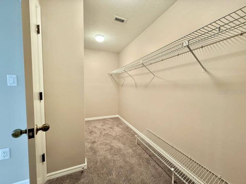 6804 Lake View Drive Yalaha FL 34797 O6403319 image23