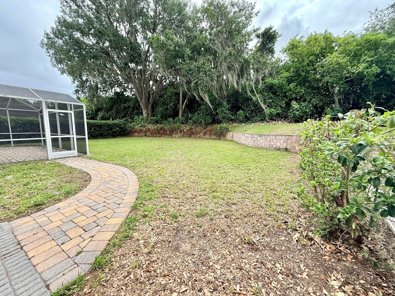 6804 Lake View Drive Yalaha FL 34797 O6403319 image46