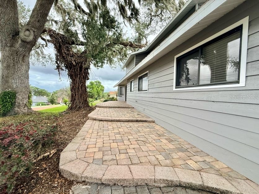 6804 Lake View Drive Yalaha FL 34797 O6403319 image49