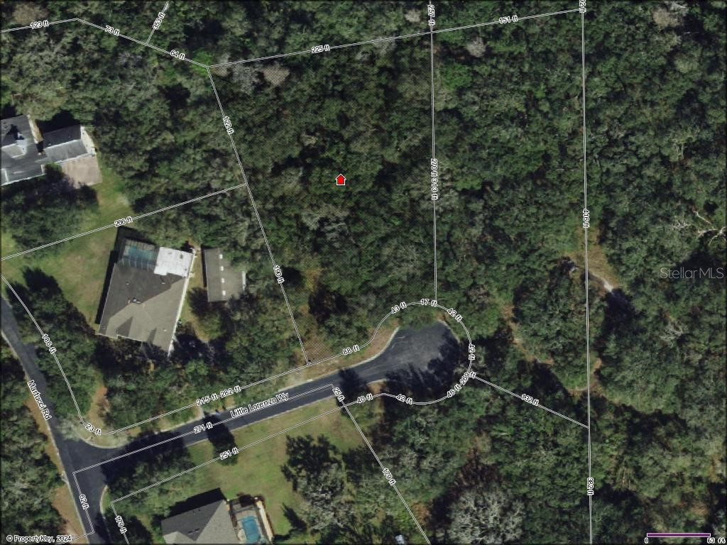 6804 Little Lorenzo Way Seffner FL 33584 T3515330 image1