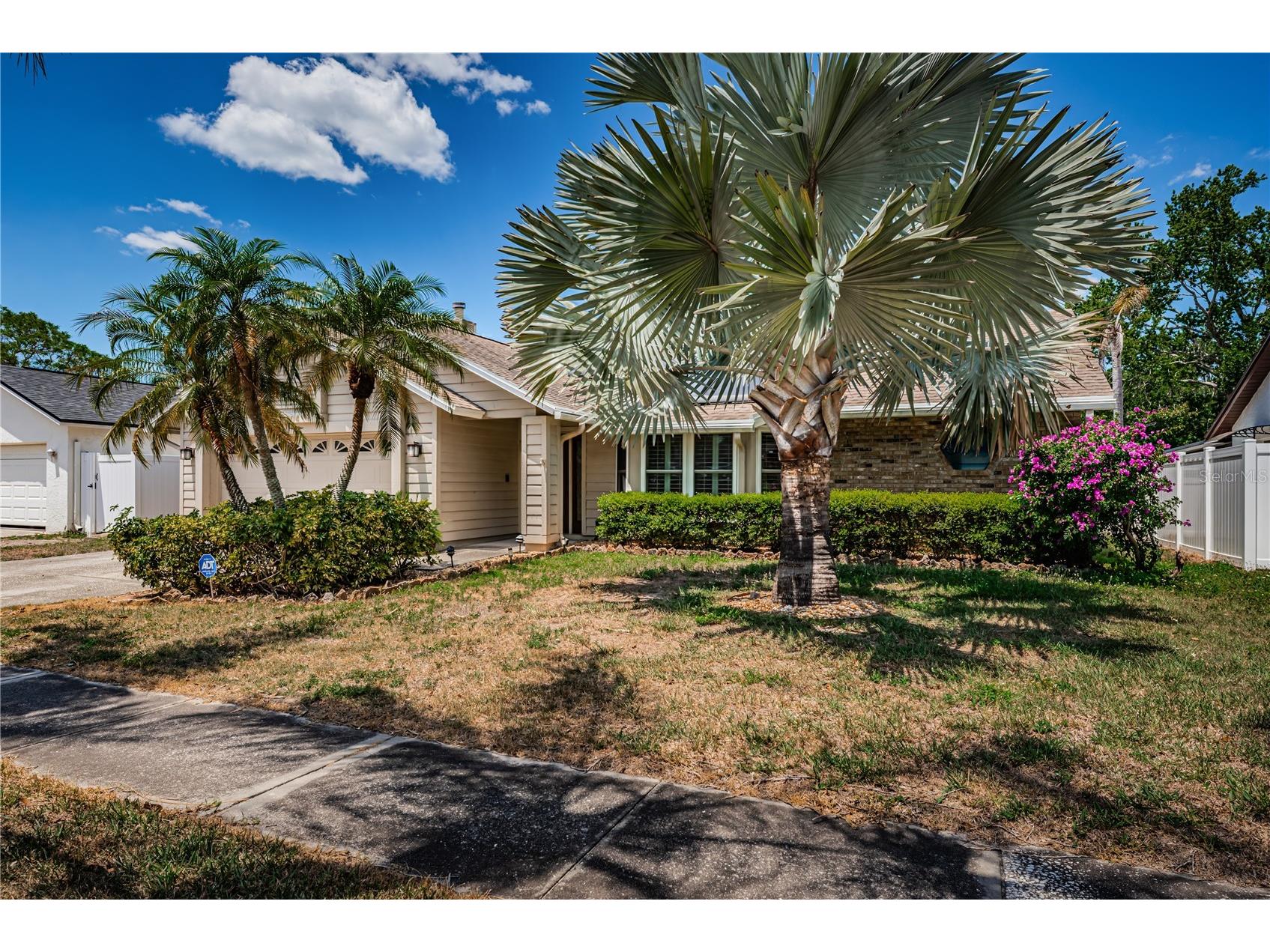 6804 Seafairer Drive Tampa FL 33615 TB8500351 image2