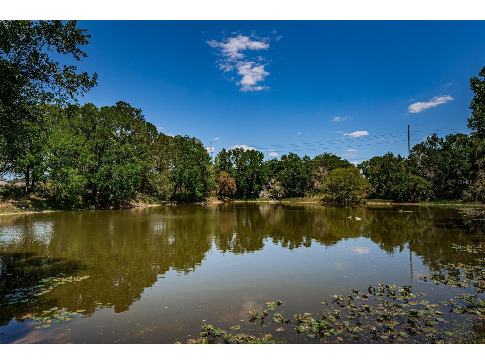 6804 Seafairer Drive Tampa FL 33615 TB8500351 image37