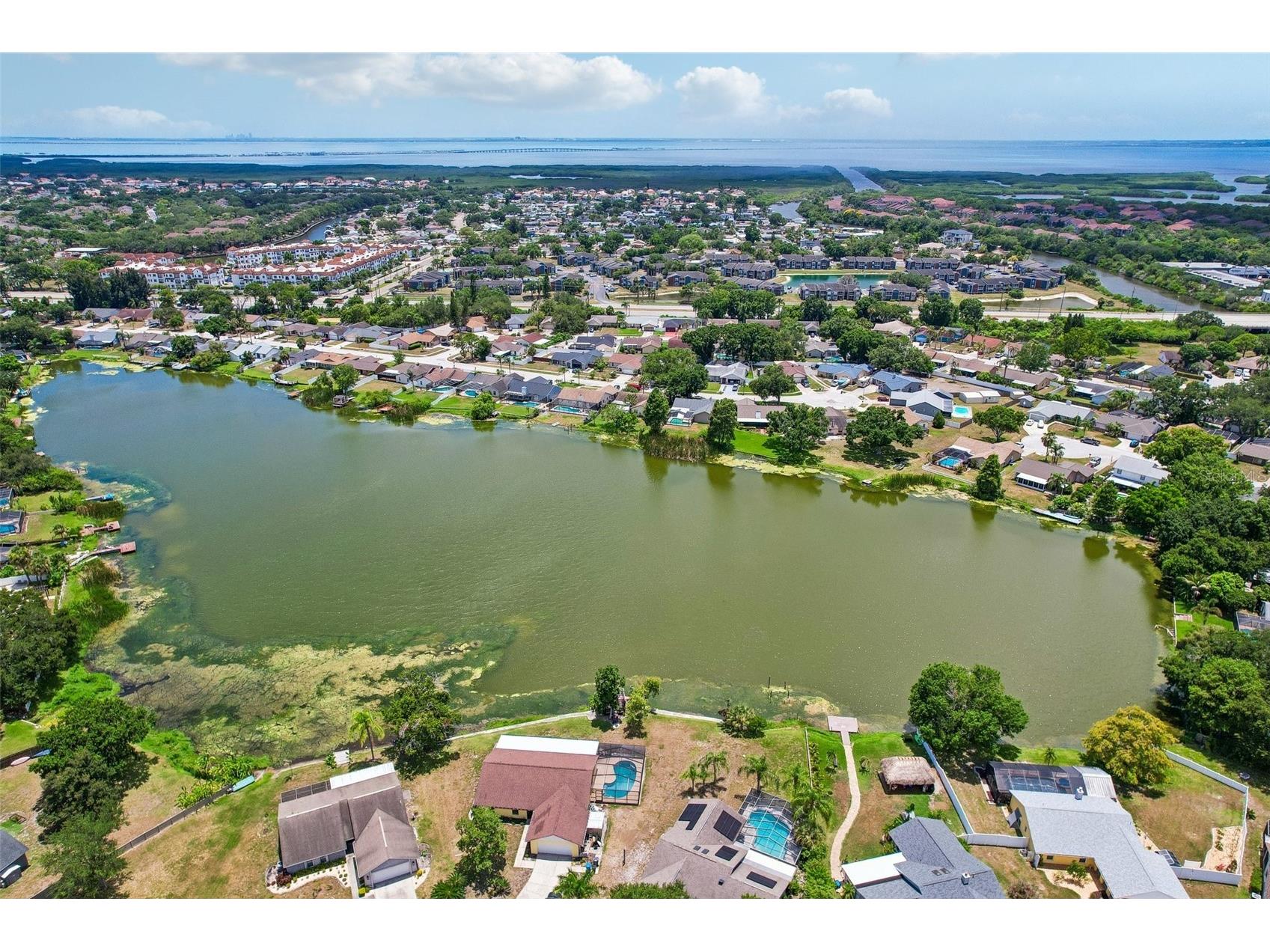 6805 Longpointe Way Tampa FL 33615 TB8521238 image29
