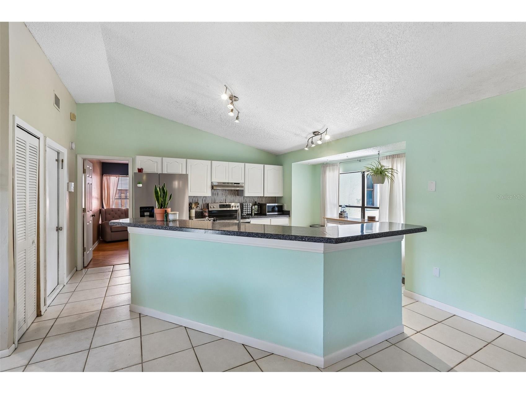 6805 Longpointe Way Tampa FL 33615 TB8521238 image7