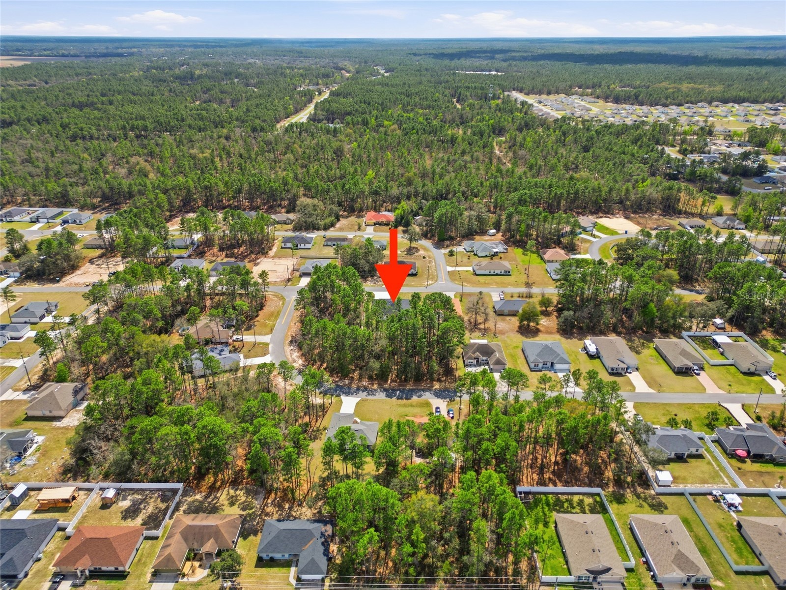 6805 SW 132nd Street Ocala FL 34473 O6388566 image38