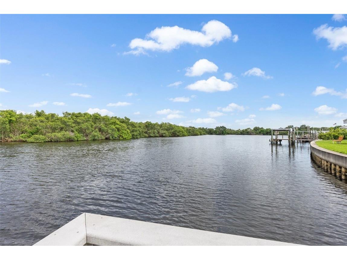 6806 Mount Quincy Drive NE #361 Saint Petersburg FL 33702 - TAMPA BAY TB8407163 image42