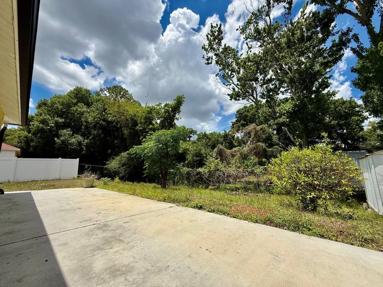 6807 Kingston Drive Tampa FL 33619 TB8505435 image21