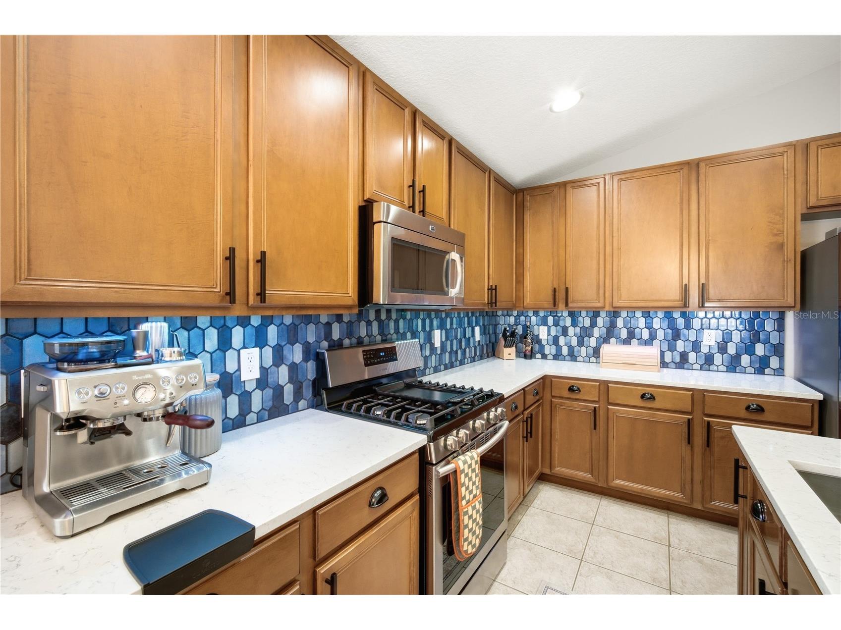 6808 Cambridge Park Drive Apollo Beach FL 33572 TB8513927 image5