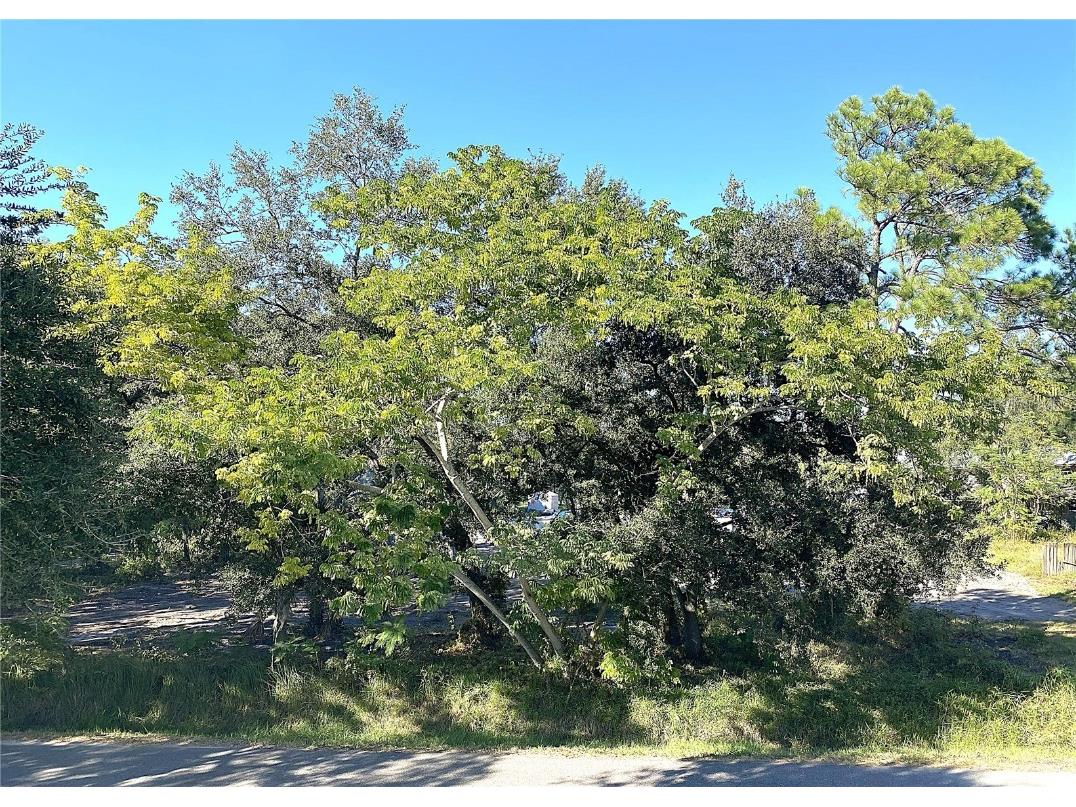 6808 New York Drive Tampa FL 33619 TB8449053 image1