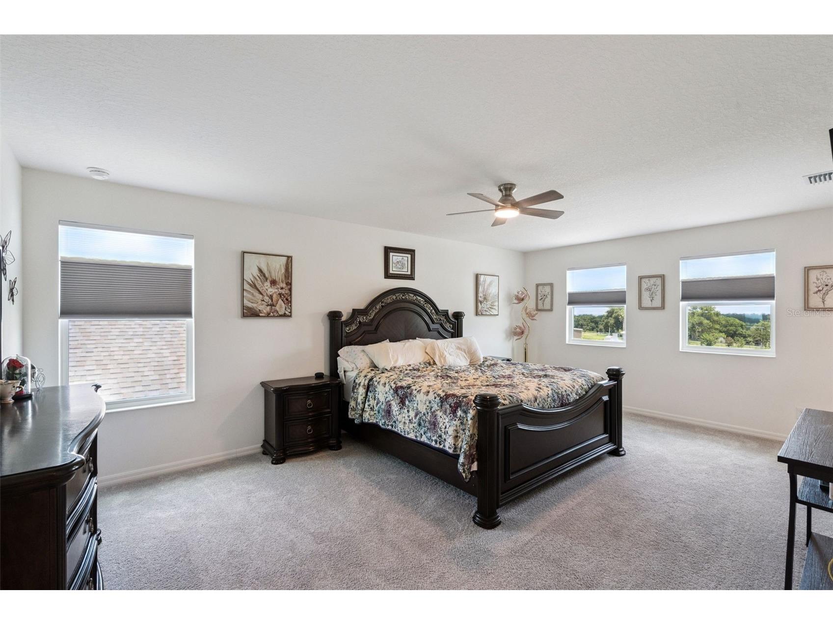 6808 Serpent Hawk Lane Howey In The Hills FL 34737 O6423864 image23