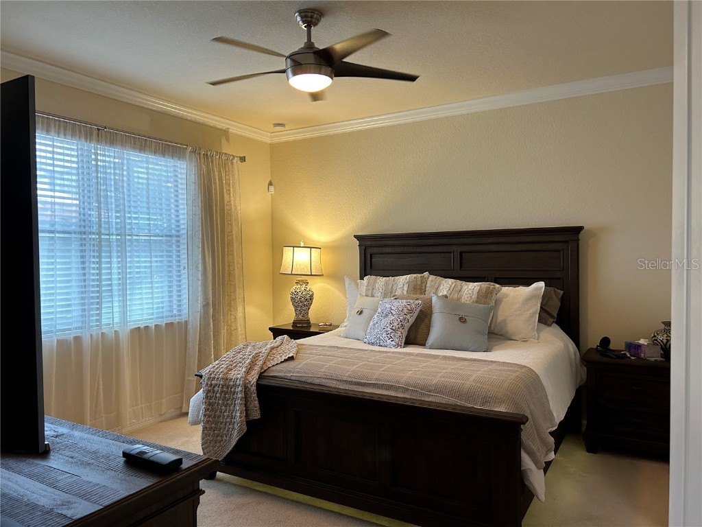 6808 Wild Lake Terrace Bradenton FL 34212 A4588443 image29