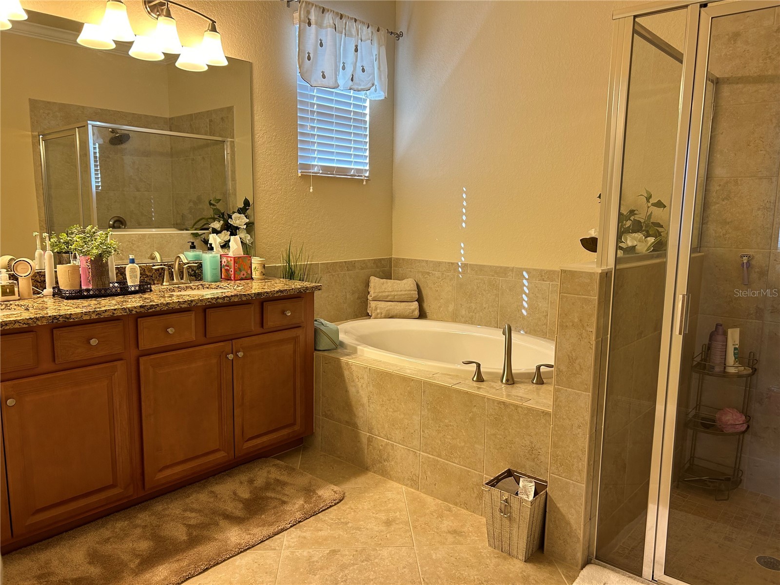 6808 Wild Lake Terrace Bradenton FL 34212 A4588443 image32