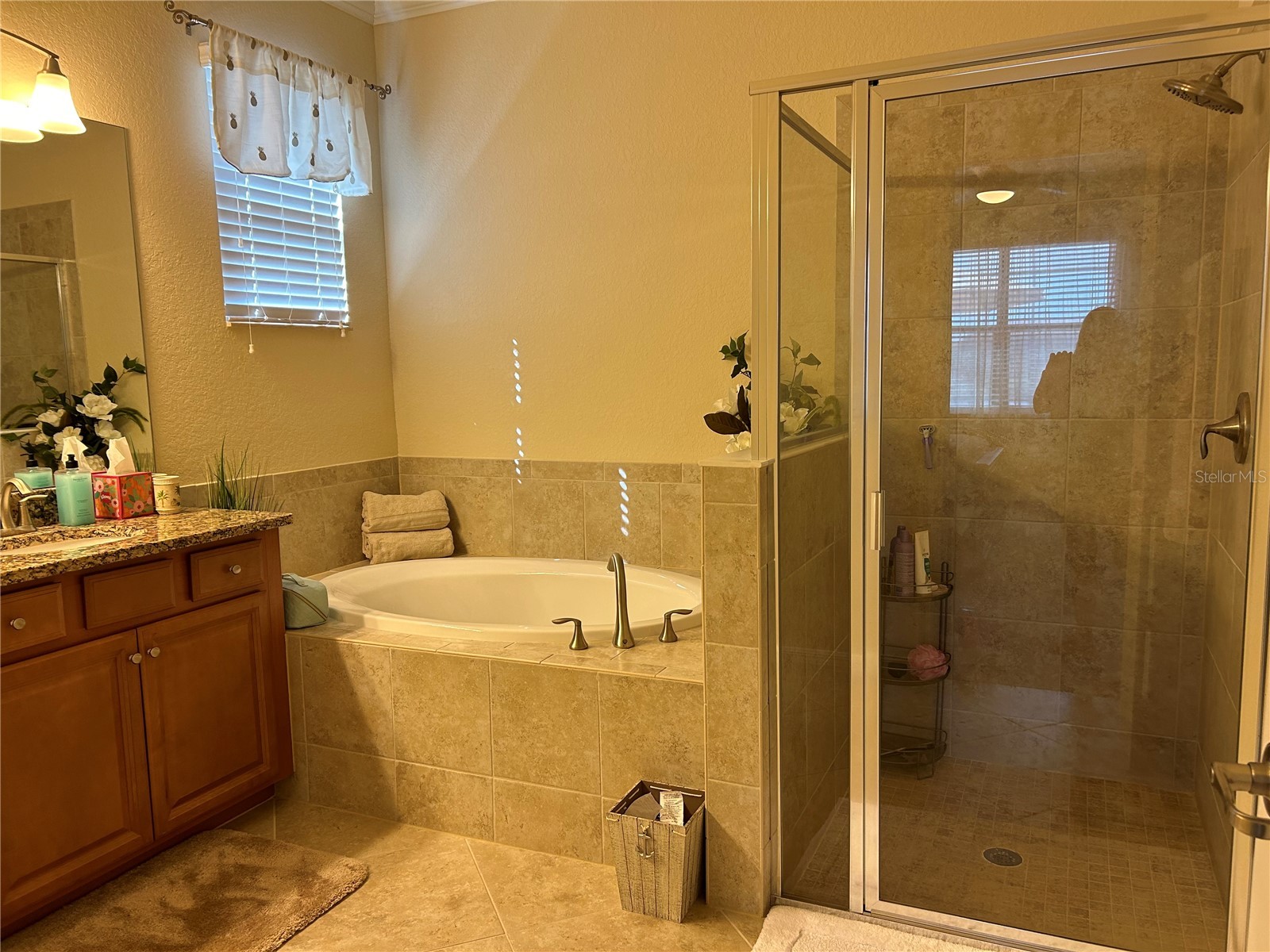 6808 Wild Lake Terrace Bradenton FL 34212 A4588443 image34