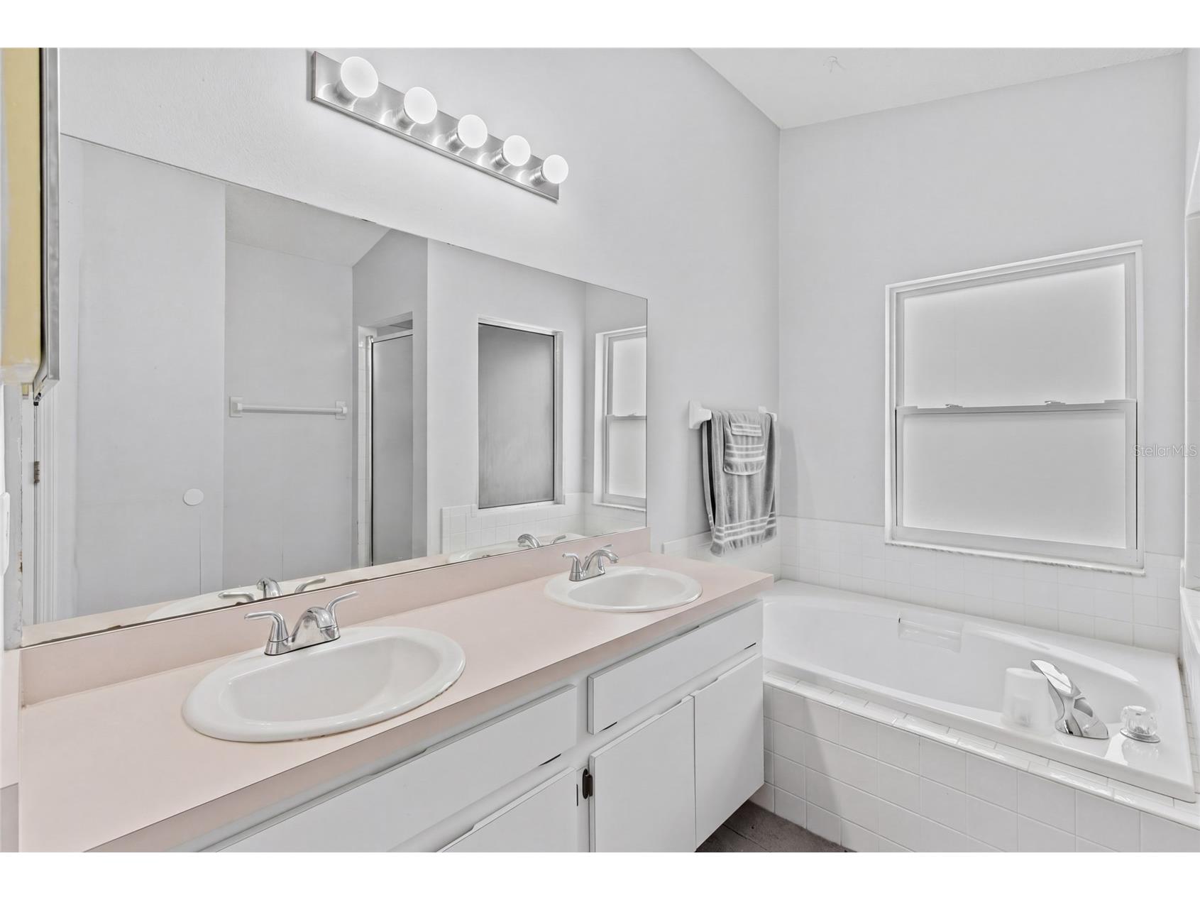 6808 Yardley Oaks Court Tampa FL 33625 TB8507914 image41