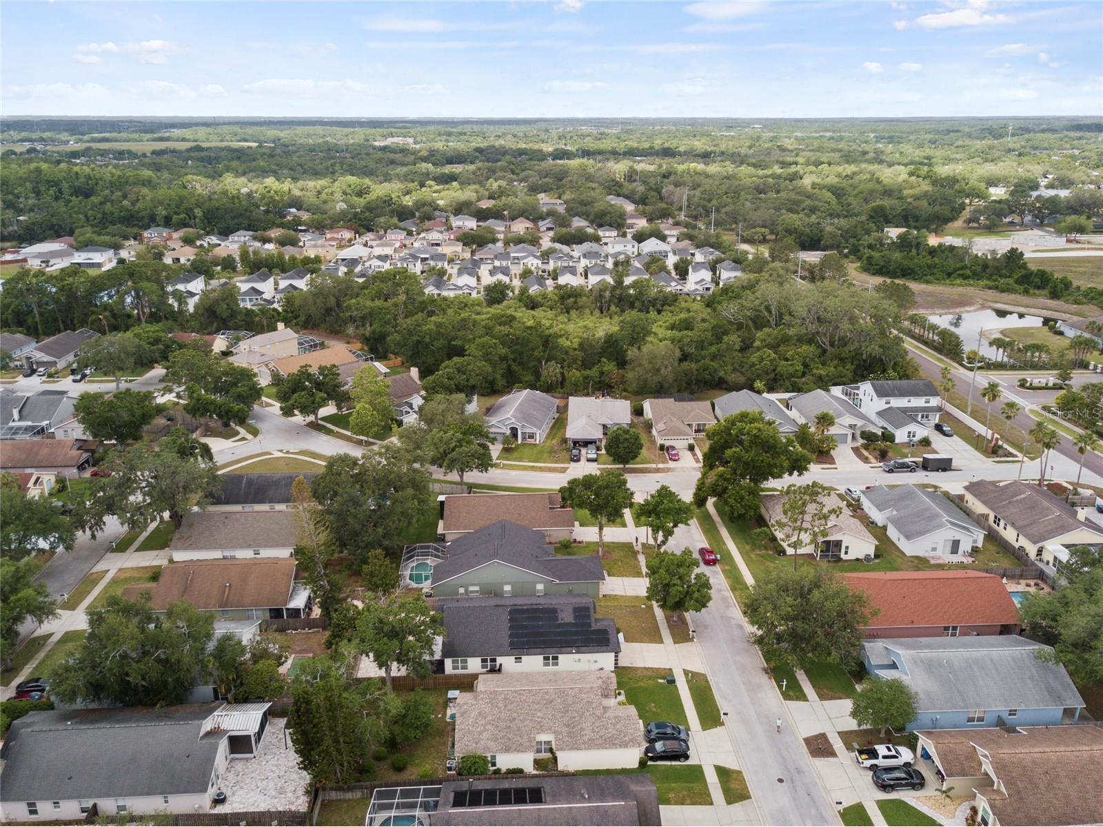 6808 Yardley Oaks Court Tampa FL 33625 TB8507914 image65