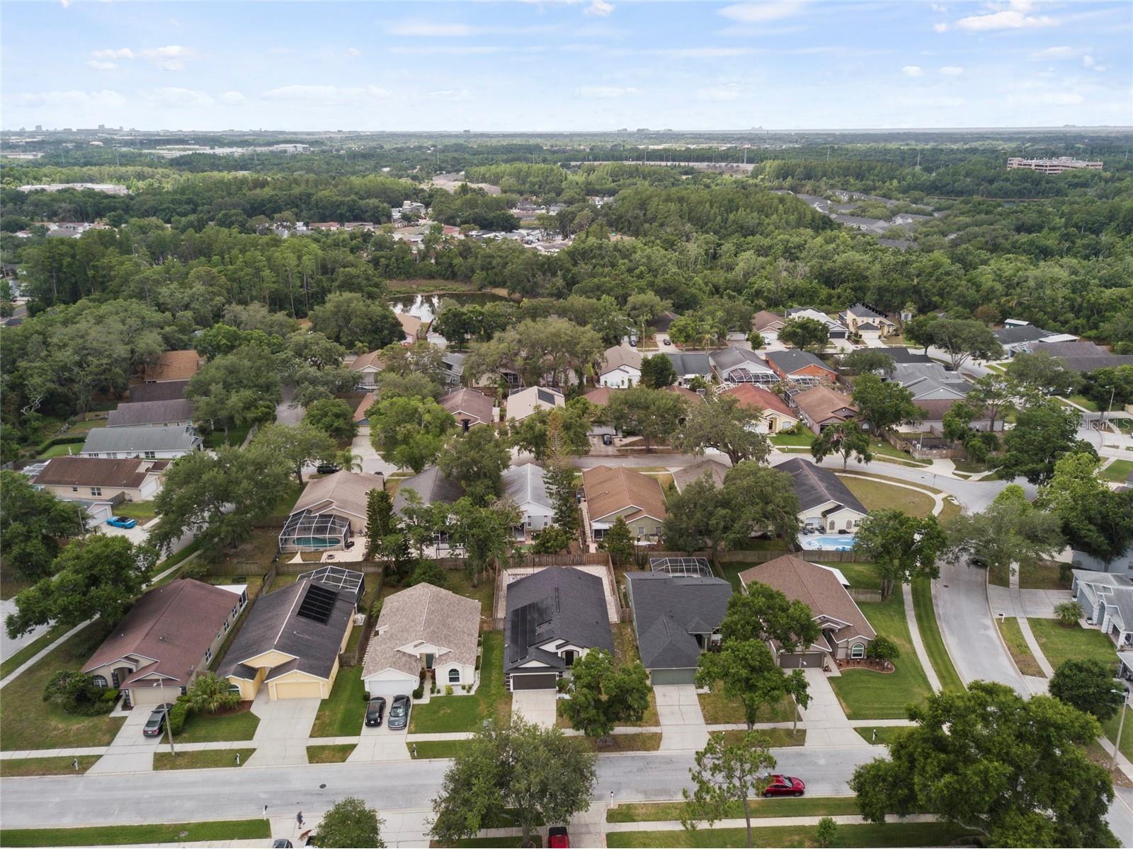 6808 Yardley Oaks Court Tampa FL 33625 TB8507914 image66