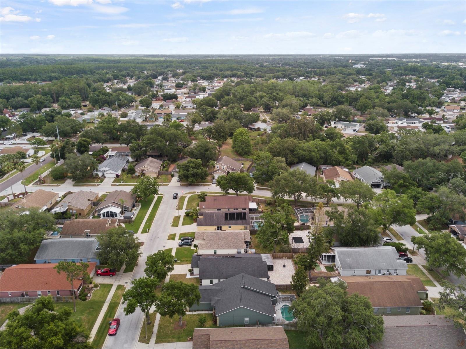 6808 Yardley Oaks Court Tampa FL 33625 TB8507914 image67