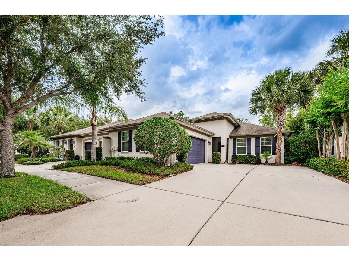 6809 Lockington Court Tampa FL 33625 U8198757 image1