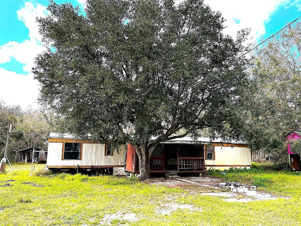 6809 Muscadine Lane Plant City FL 33565 TB8349615 image1