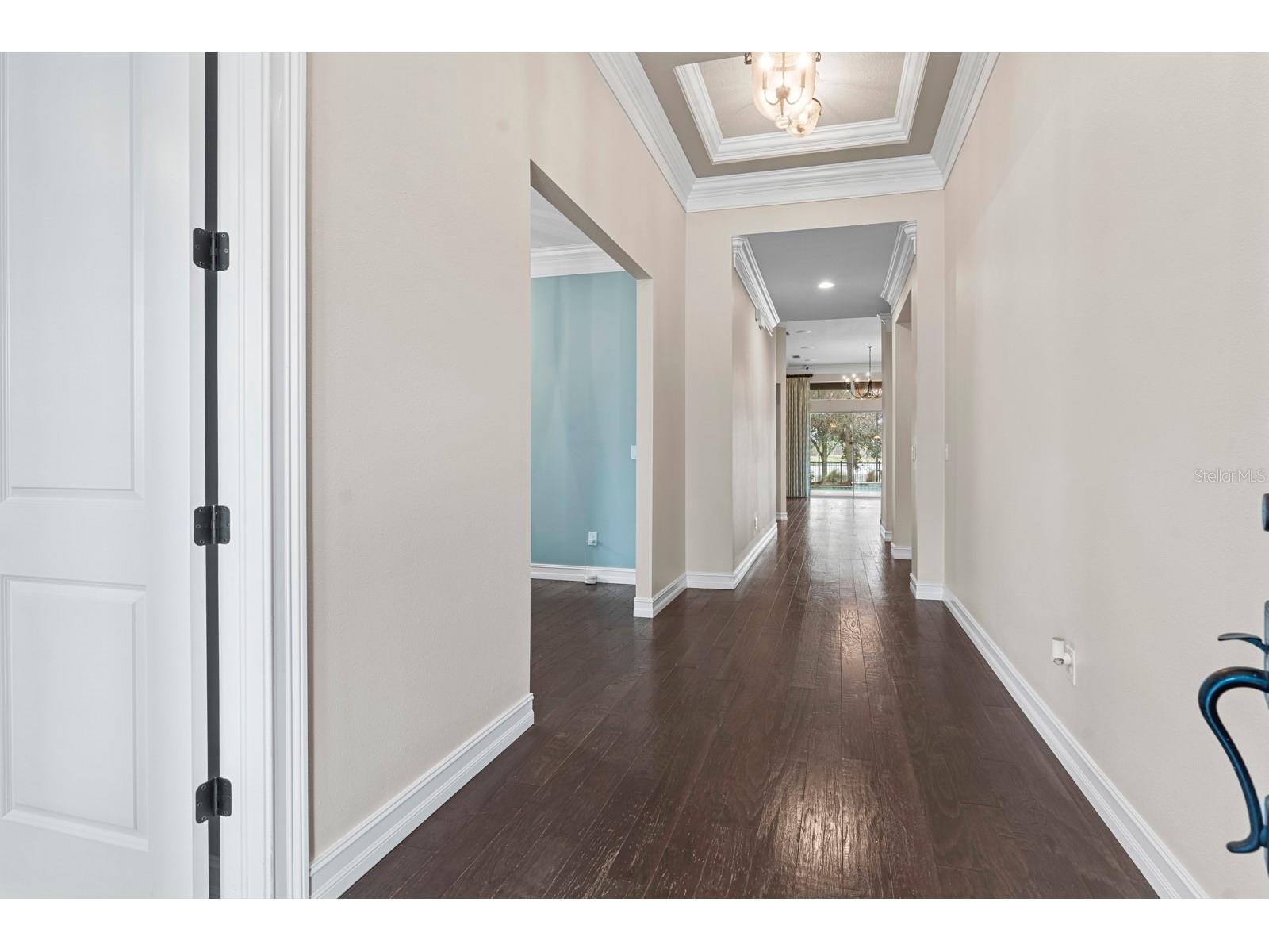 6809 Scenic Drive Apollo Beach FL 33572 TB8462505 image51
