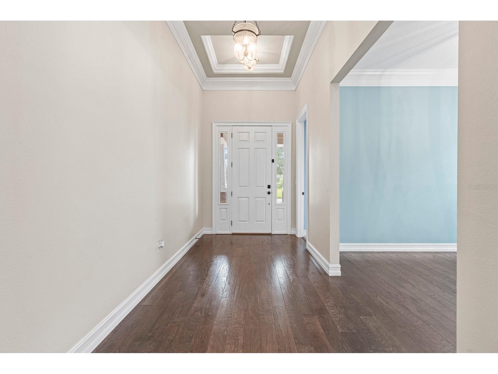 6809 Scenic Drive Apollo Beach FL 33572 TB8462505 image52