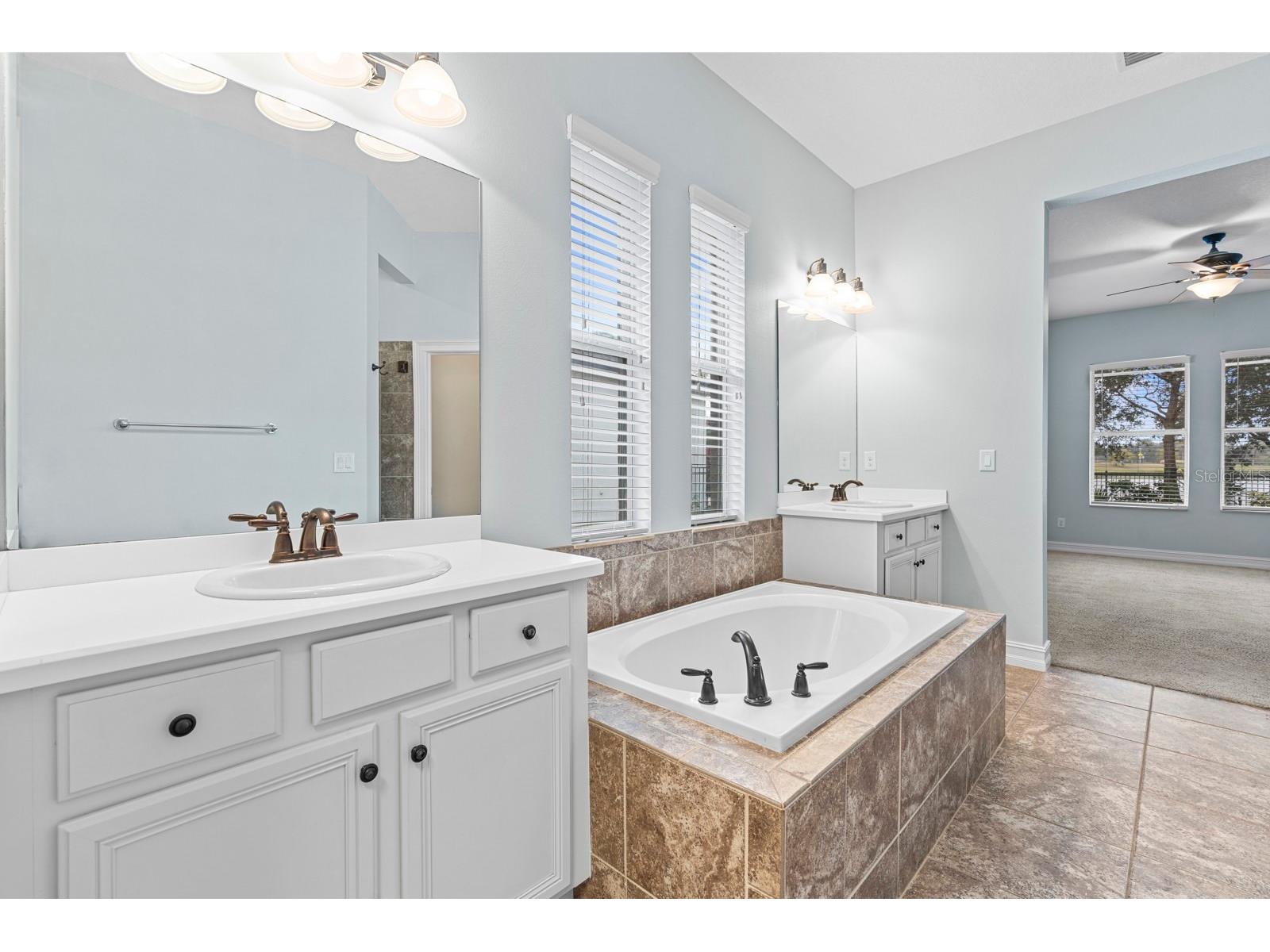 6809 Scenic Drive Apollo Beach FL 33572 TB8462505 image56