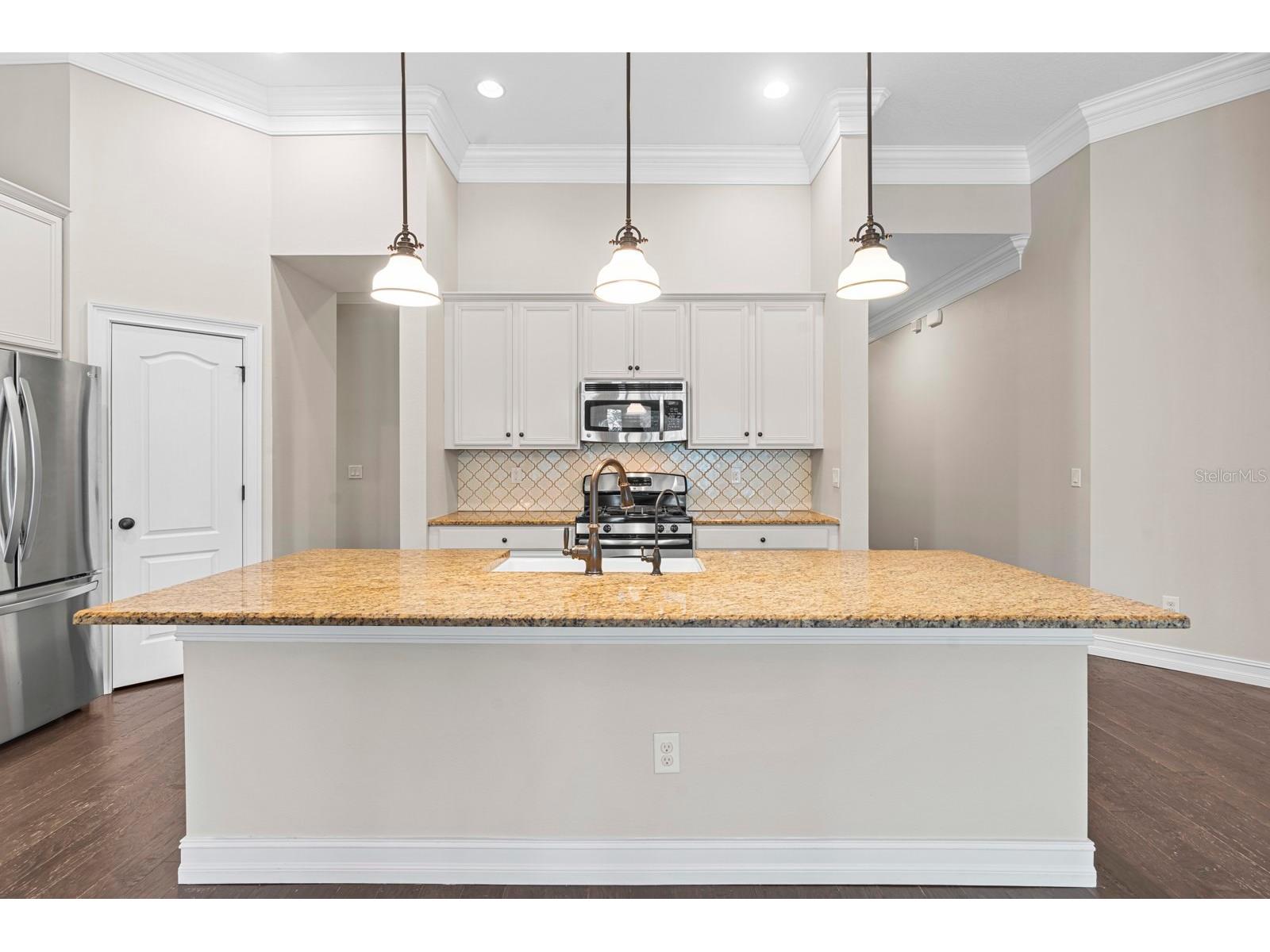 6809 Scenic Drive Apollo Beach FL 33572 TB8462505 image68