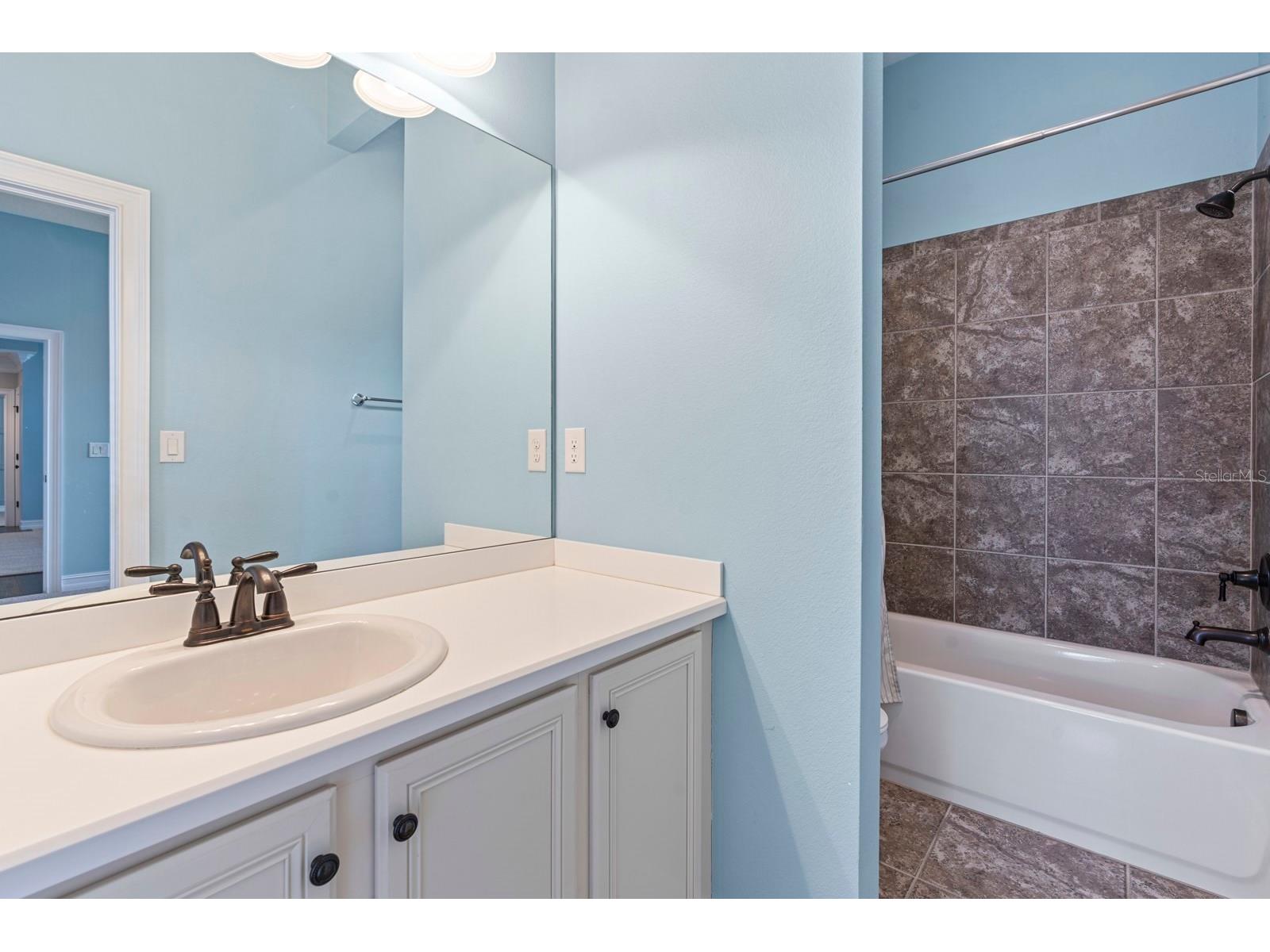 6809 Scenic Drive Apollo Beach FL 33572 TB8462505 image76