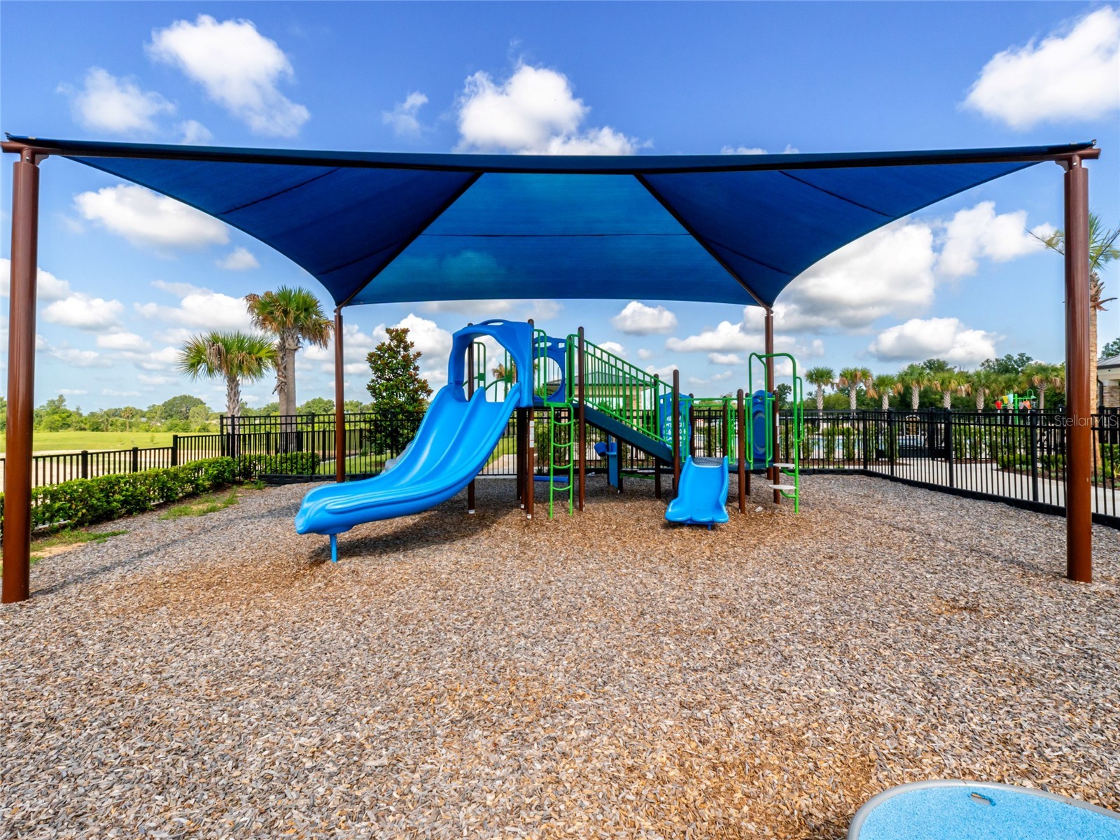 6809 Serpent Hawk Lane Howey In The Hills FL 34737 G5114754 image67