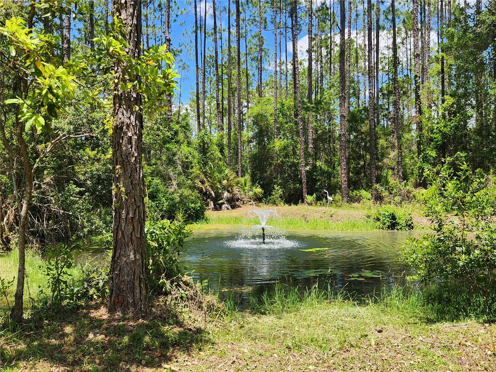 681 S County Road 315 Interlachen FL 32148 OM725204 image16