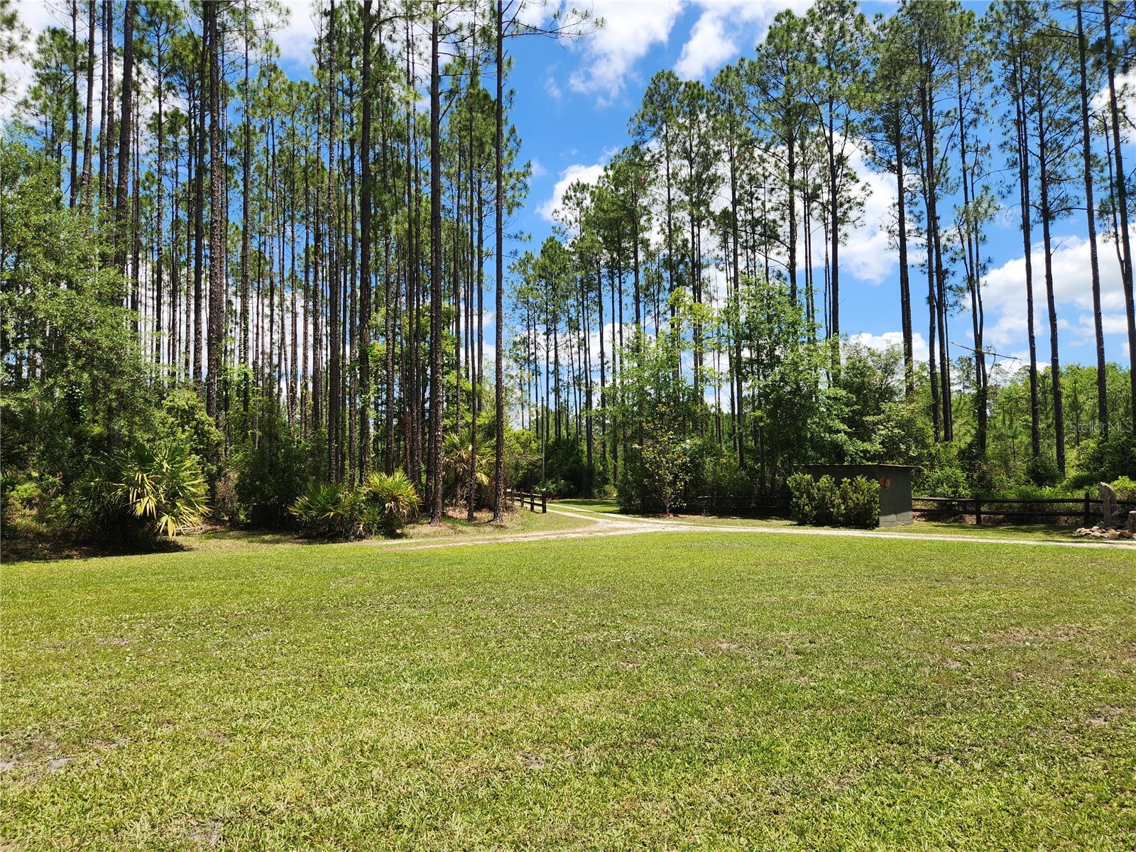 681 S County Road 315 Interlachen FL 32148 OM725204 image18