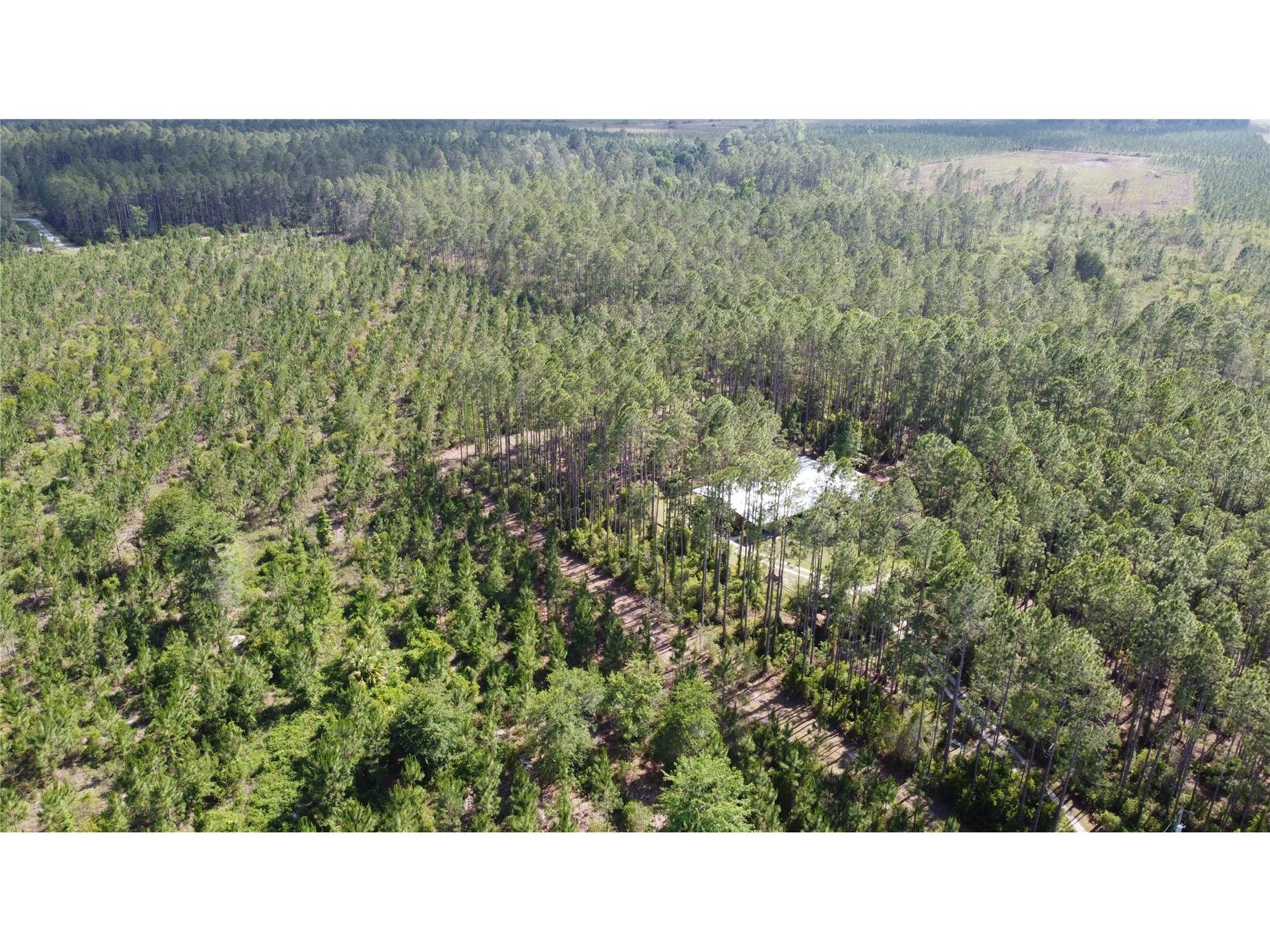 681 S County Road 315 Interlachen FL 32148 OM725204 image20