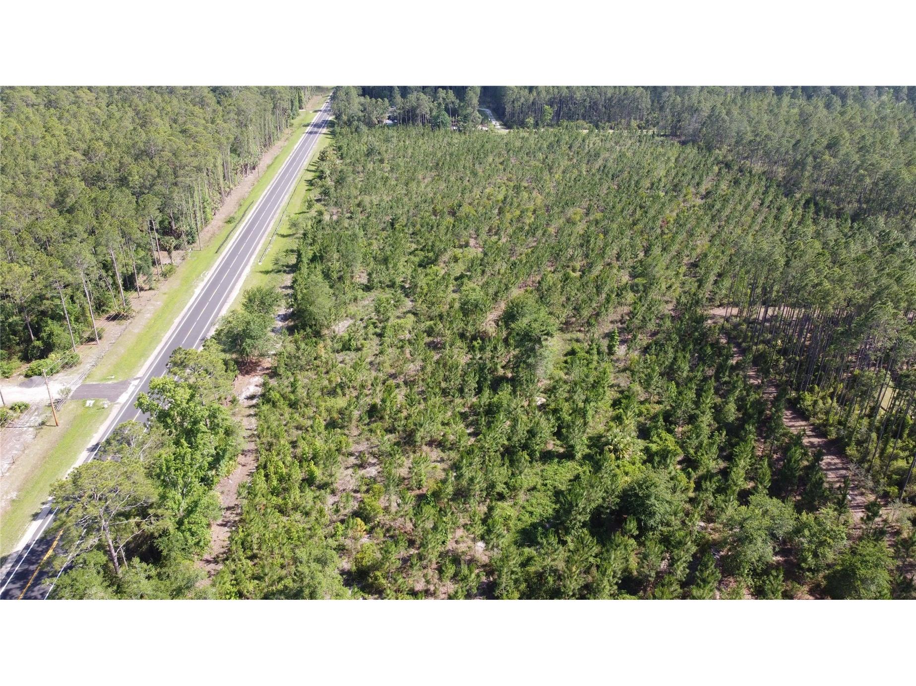 681 S County Road 315 Interlachen FL 32148 OM725204 image21