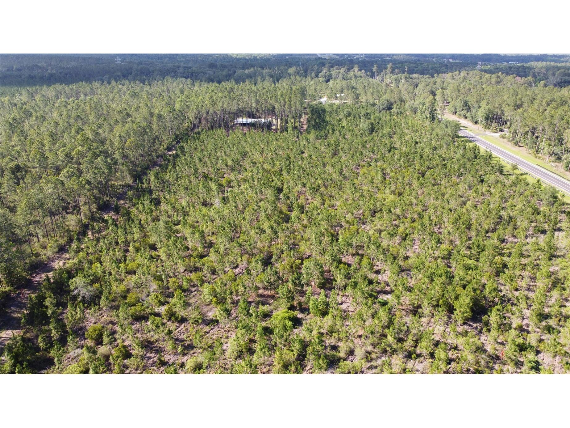 681 S County Road 315 Interlachen FL 32148 OM725204 image22