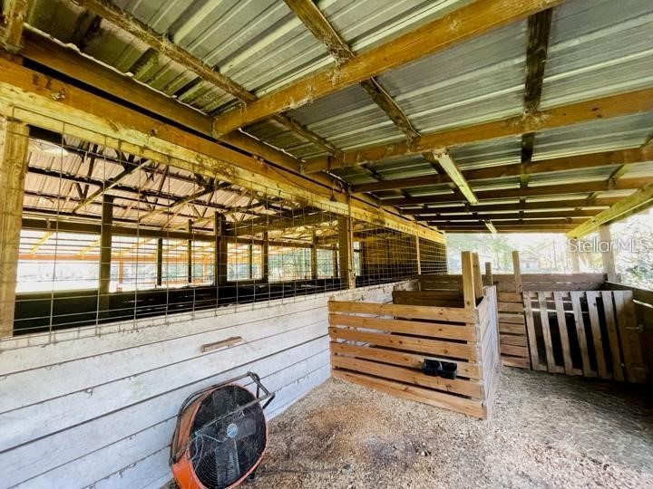 6810 Pearson Lane Wesley Chapel FL 33544 TB8430879 image15