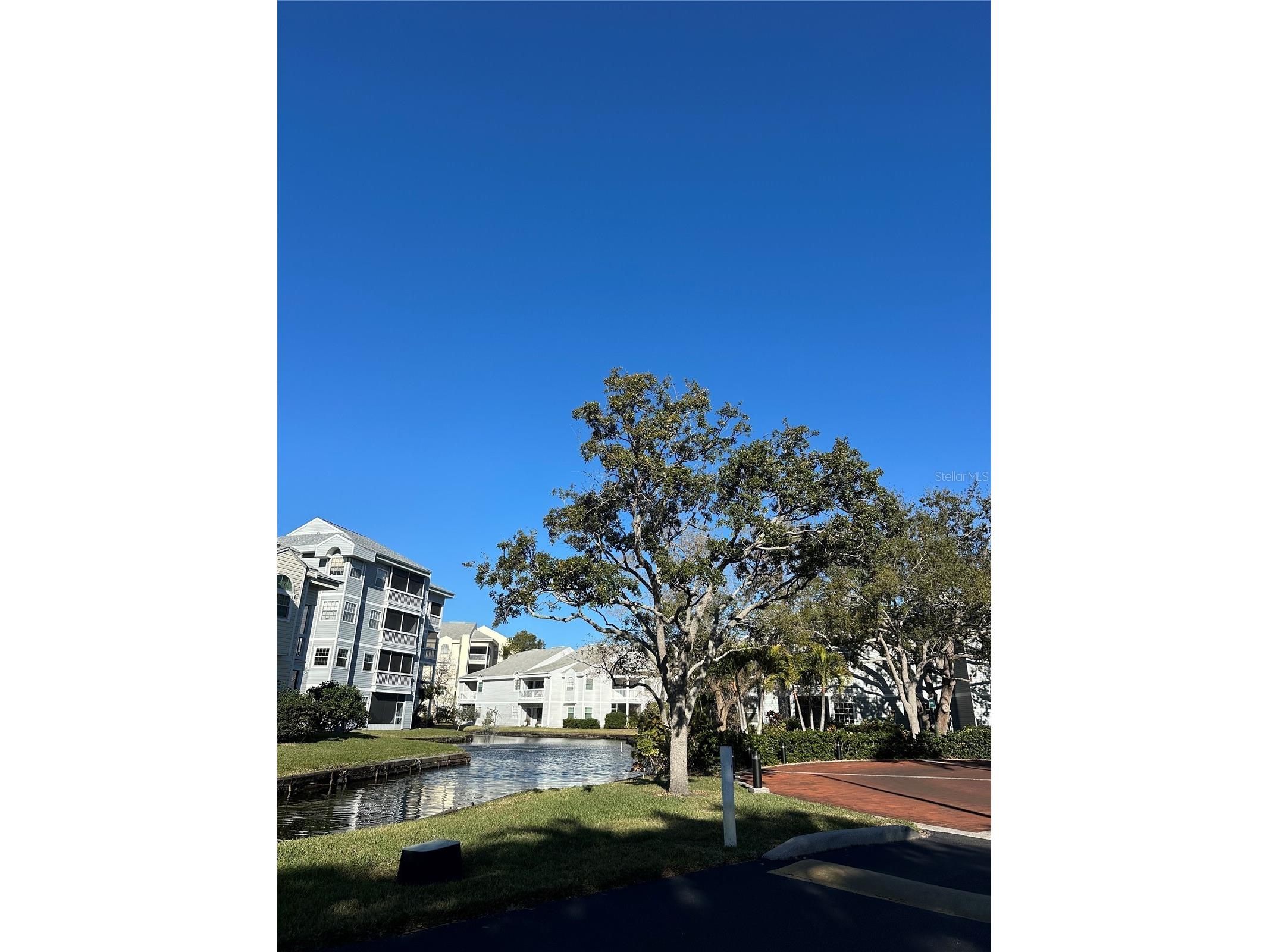 6810 Stones Throw Circle N #13203 Saint Petersburg FL 33710 TB8425809 image24