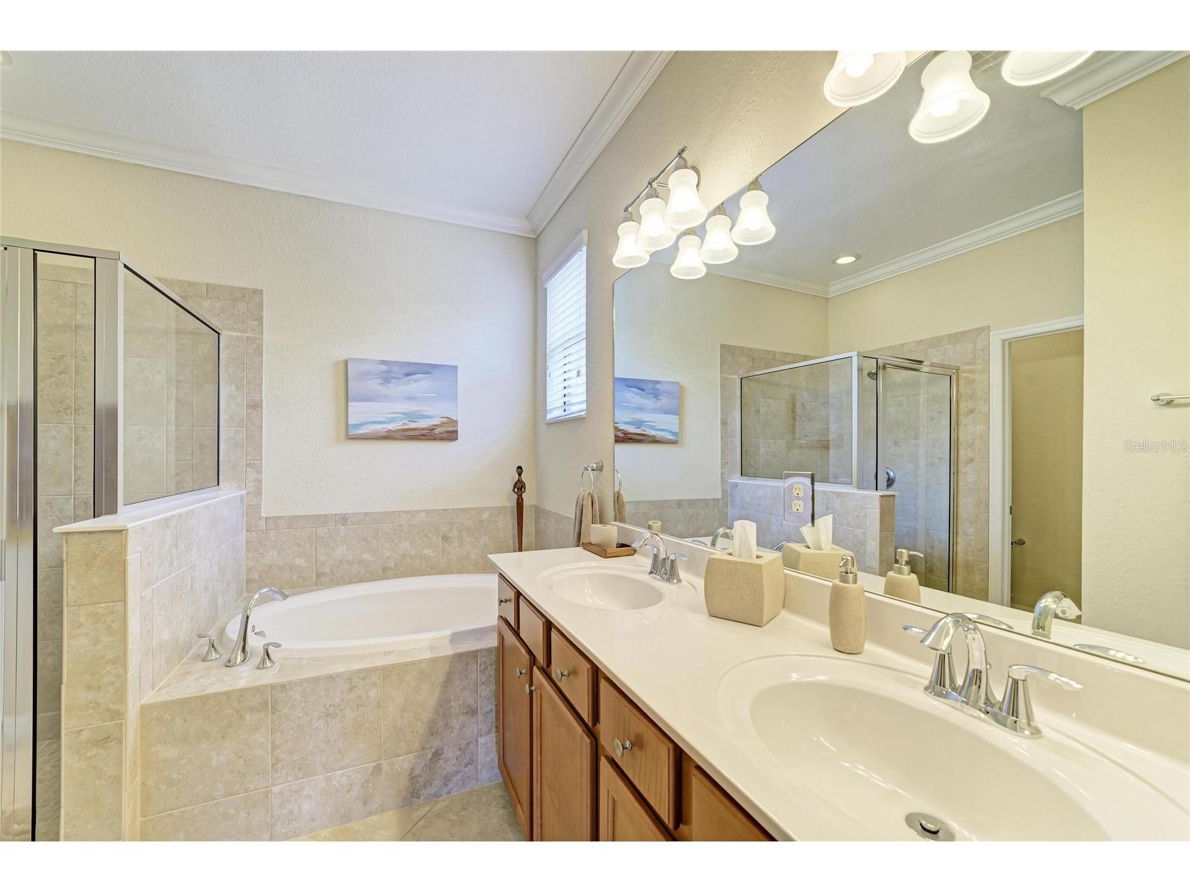 6810 Willowshire Way Bradenton FL 34212 A4688334 image27