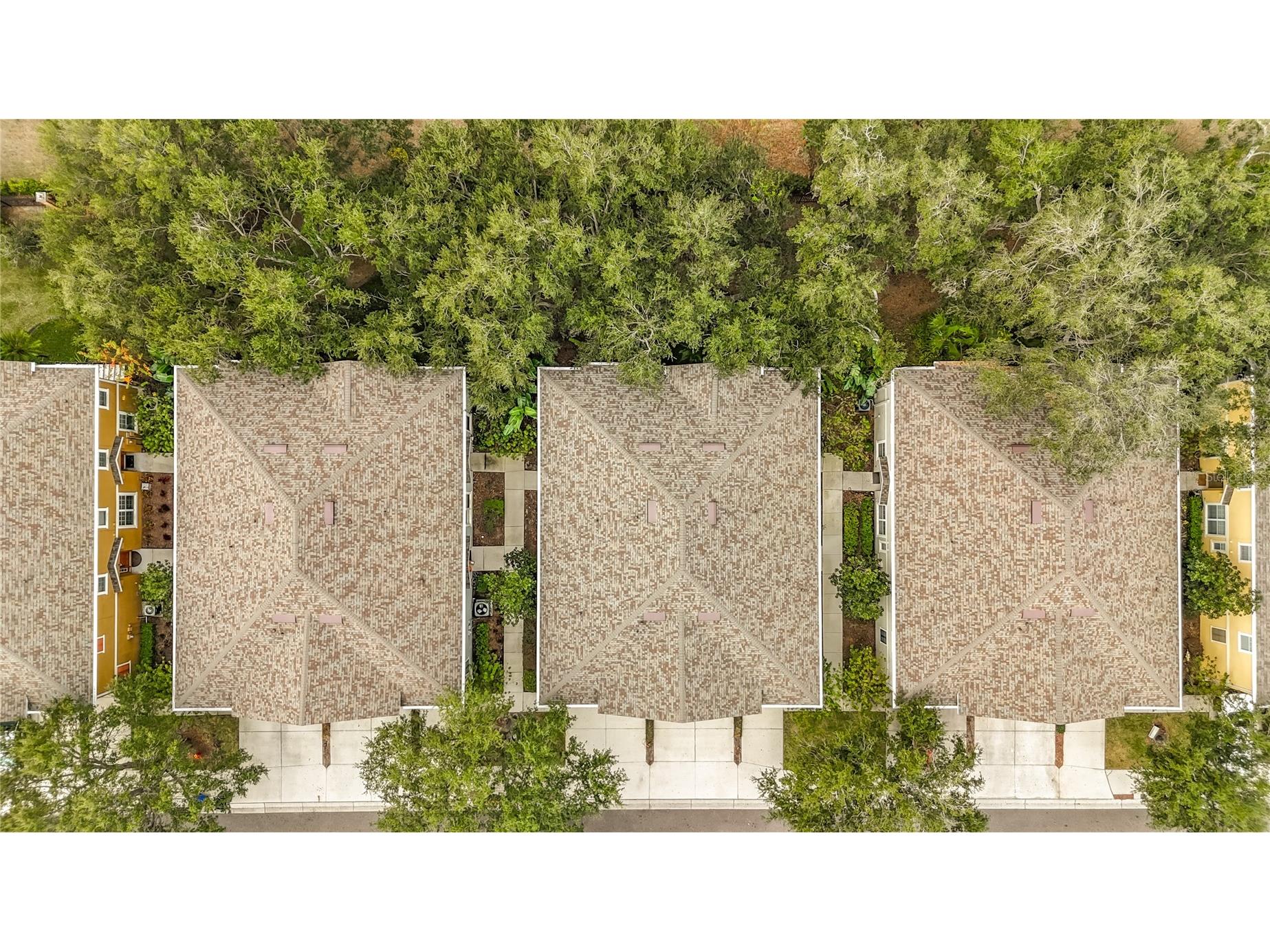 6811 Breezy Palm Drive Riverview FL 33578 TB8455882 image45