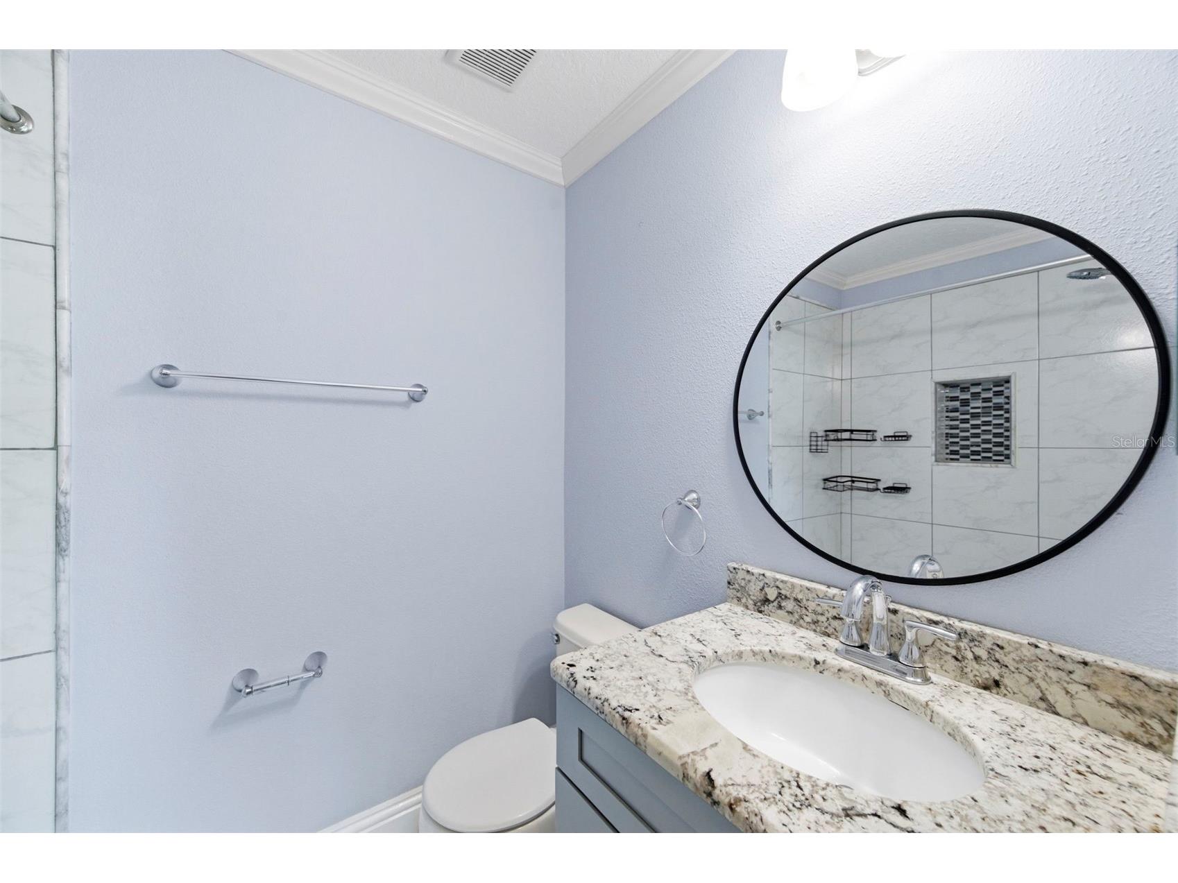 6811 Dartmouth Hill Street Riverview FL 33578 TB8500019 image27