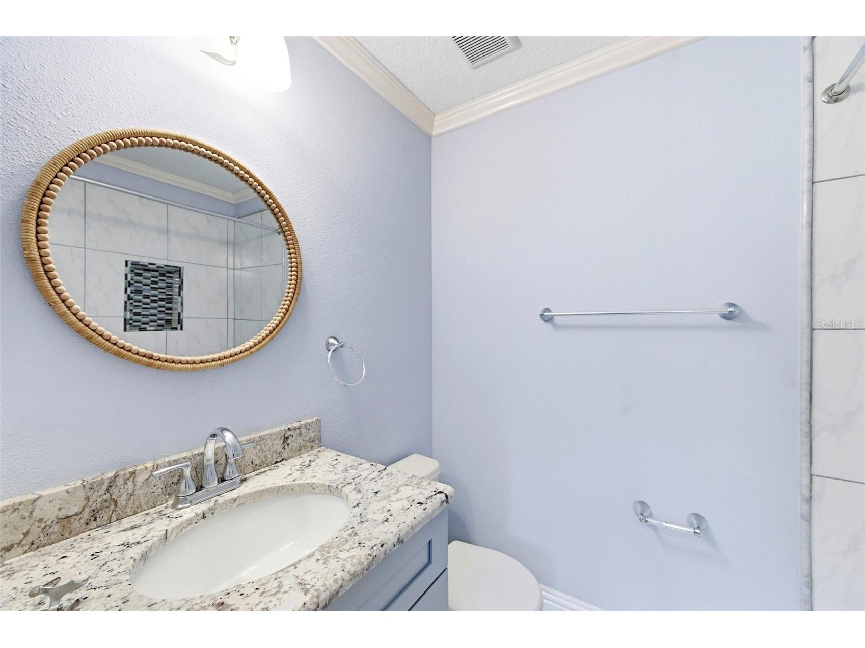 6811 Dartmouth Hill Street Riverview FL 33578 TB8500019 image33