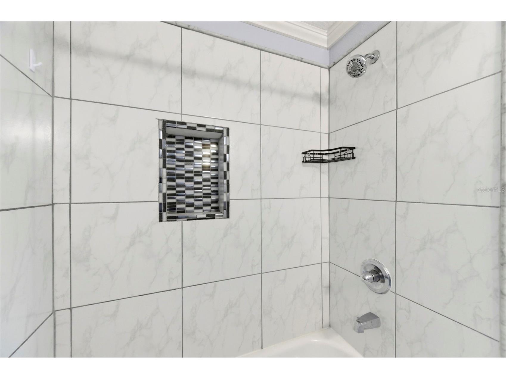 6811 Dartmouth Hill Street Riverview FL 33578 TB8500019 image34
