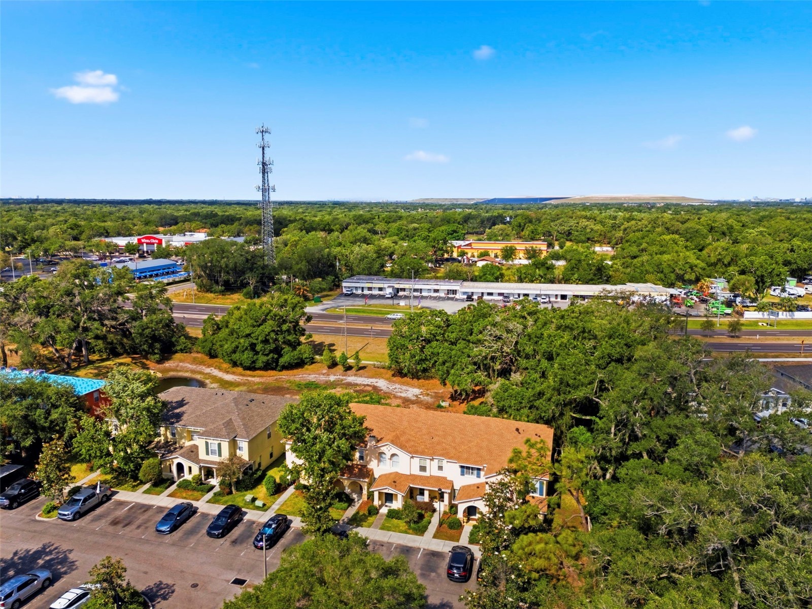 6811 Dartmouth Hill Street Riverview FL 33578 TB8500019 image43