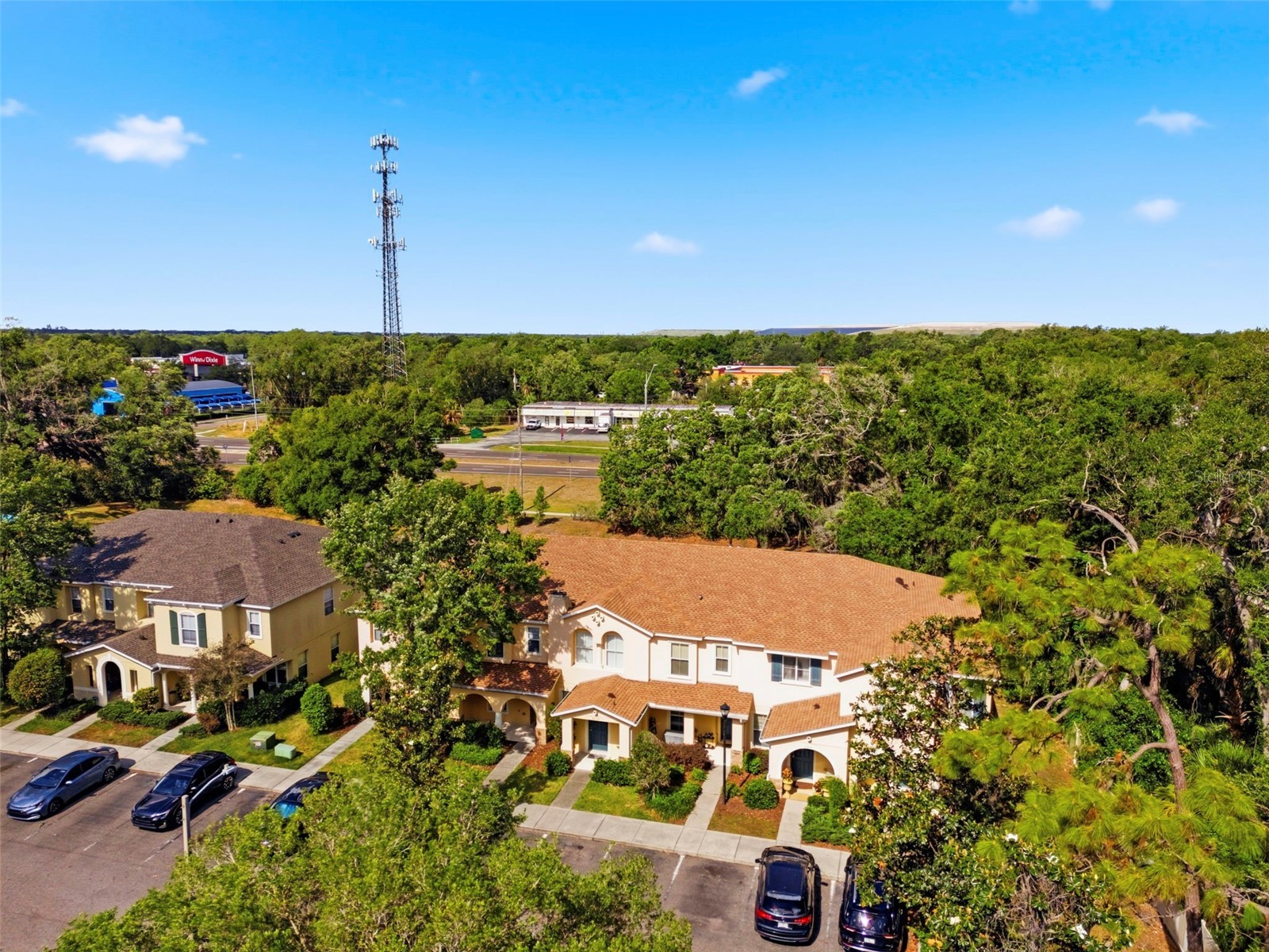 6811 Dartmouth Hill Street Riverview FL 33578 TB8500019 image44